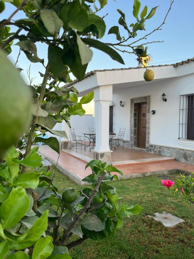 Chalet La Primera Piedra Conil De La Frontera Eksteriør billede